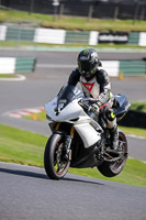 White Bikes